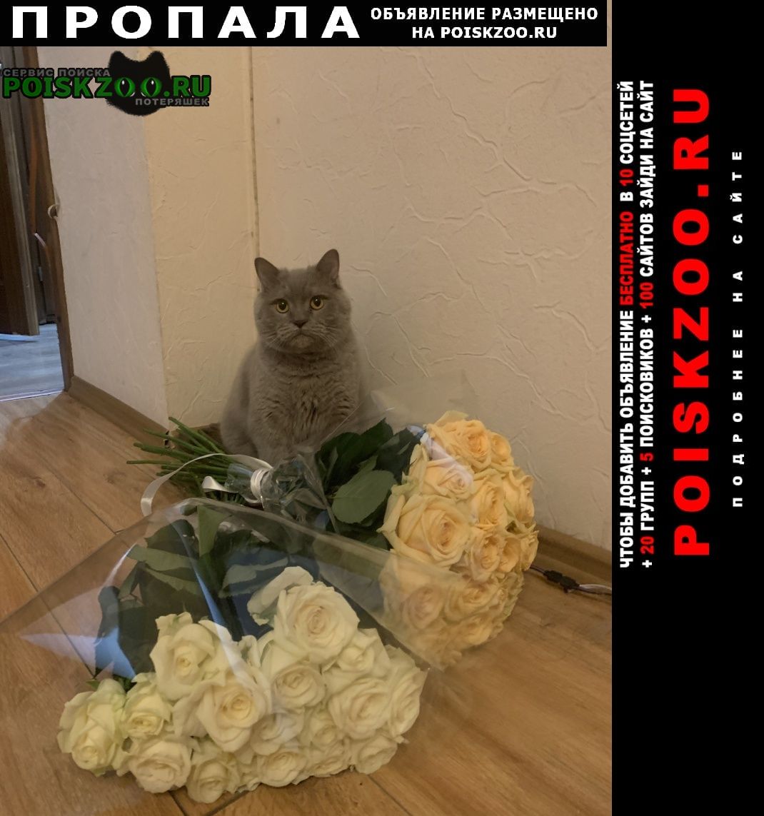 ���� ������ ��� ������� ����