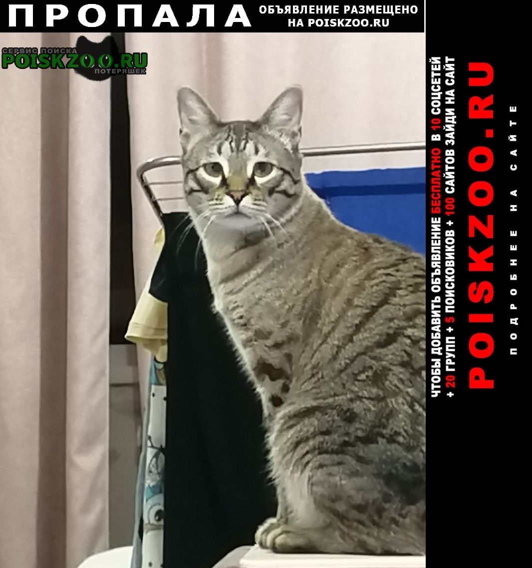 ���� ������ ���