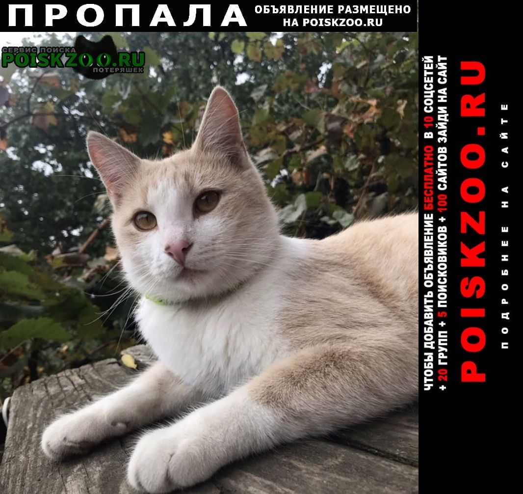 ���� ������ ���