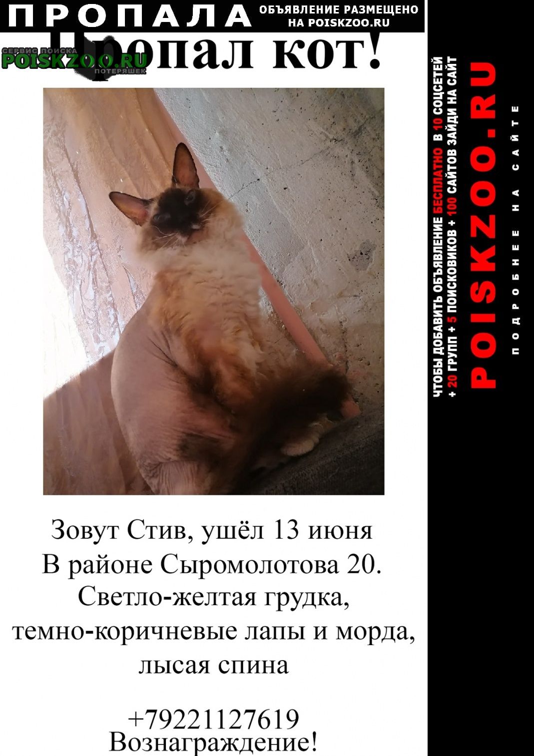 Пропала кошка в районе жби( ) Екатеринбург