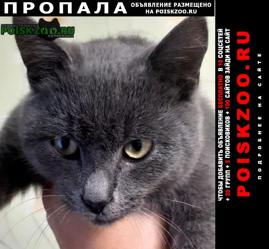 ���� ������ ���