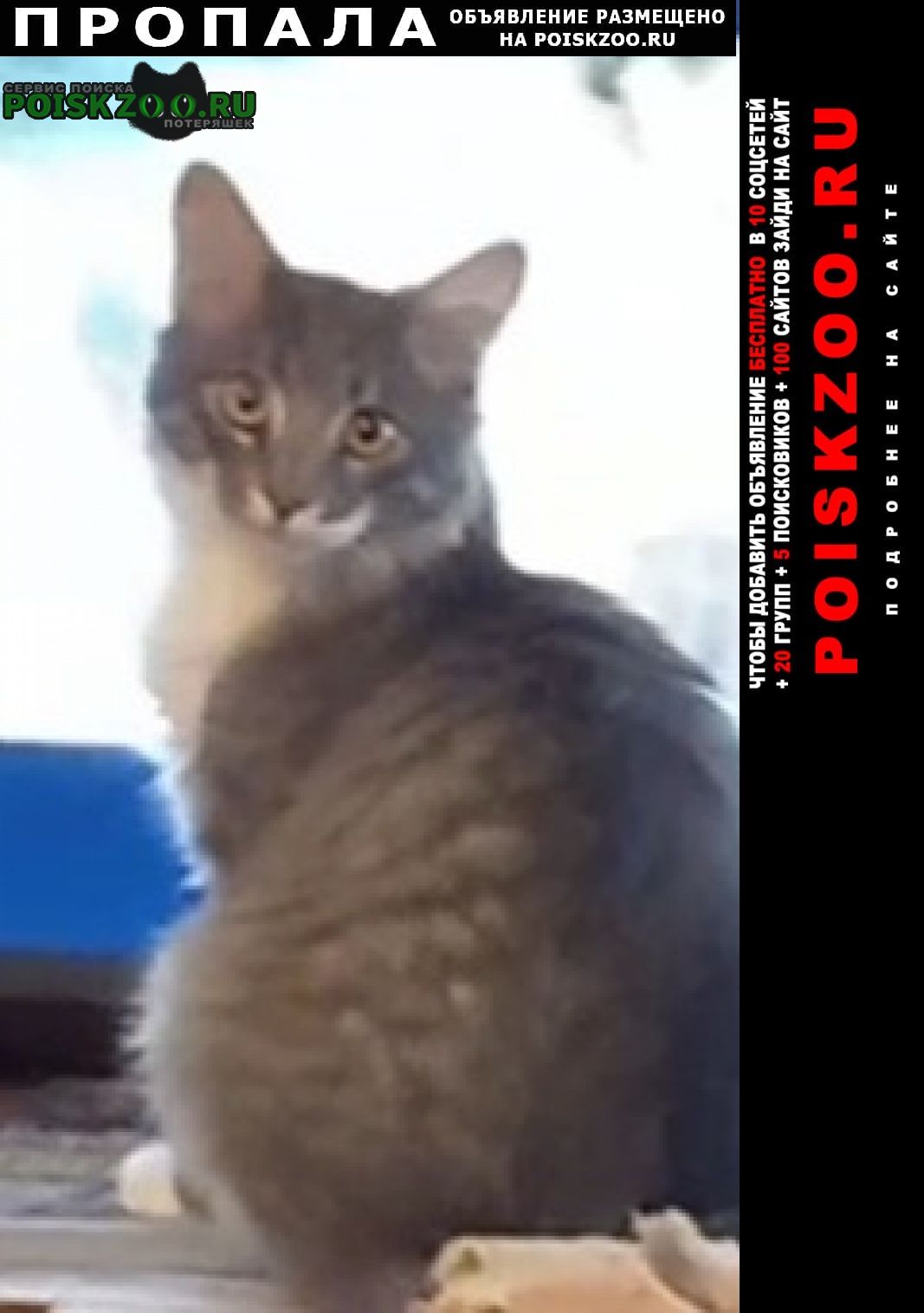 ���� ������ ���