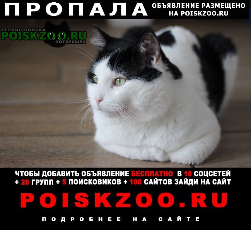 ���� ������ ���