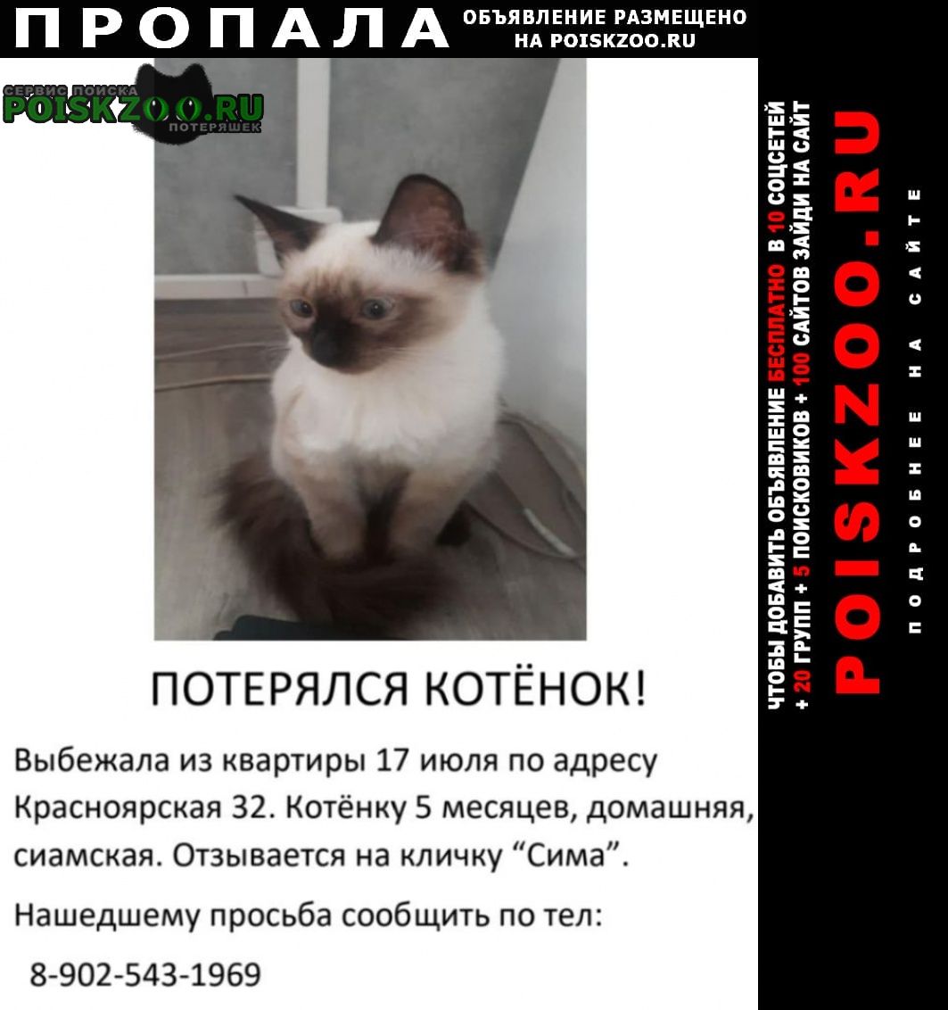Пропала кошка Иркутск