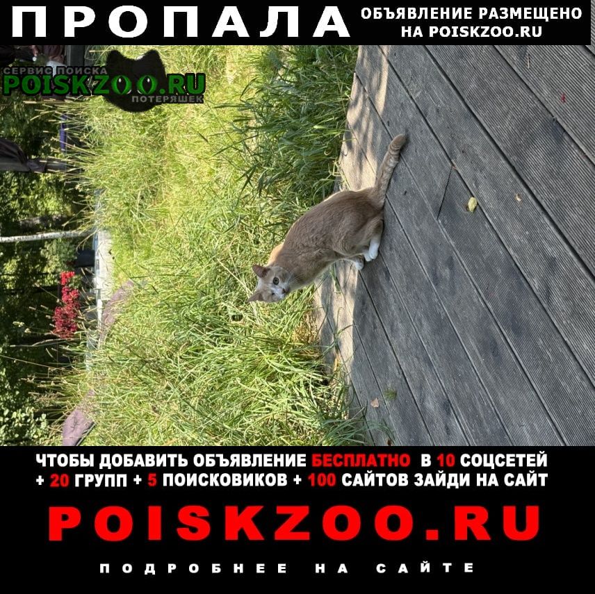 ���� ������ ���