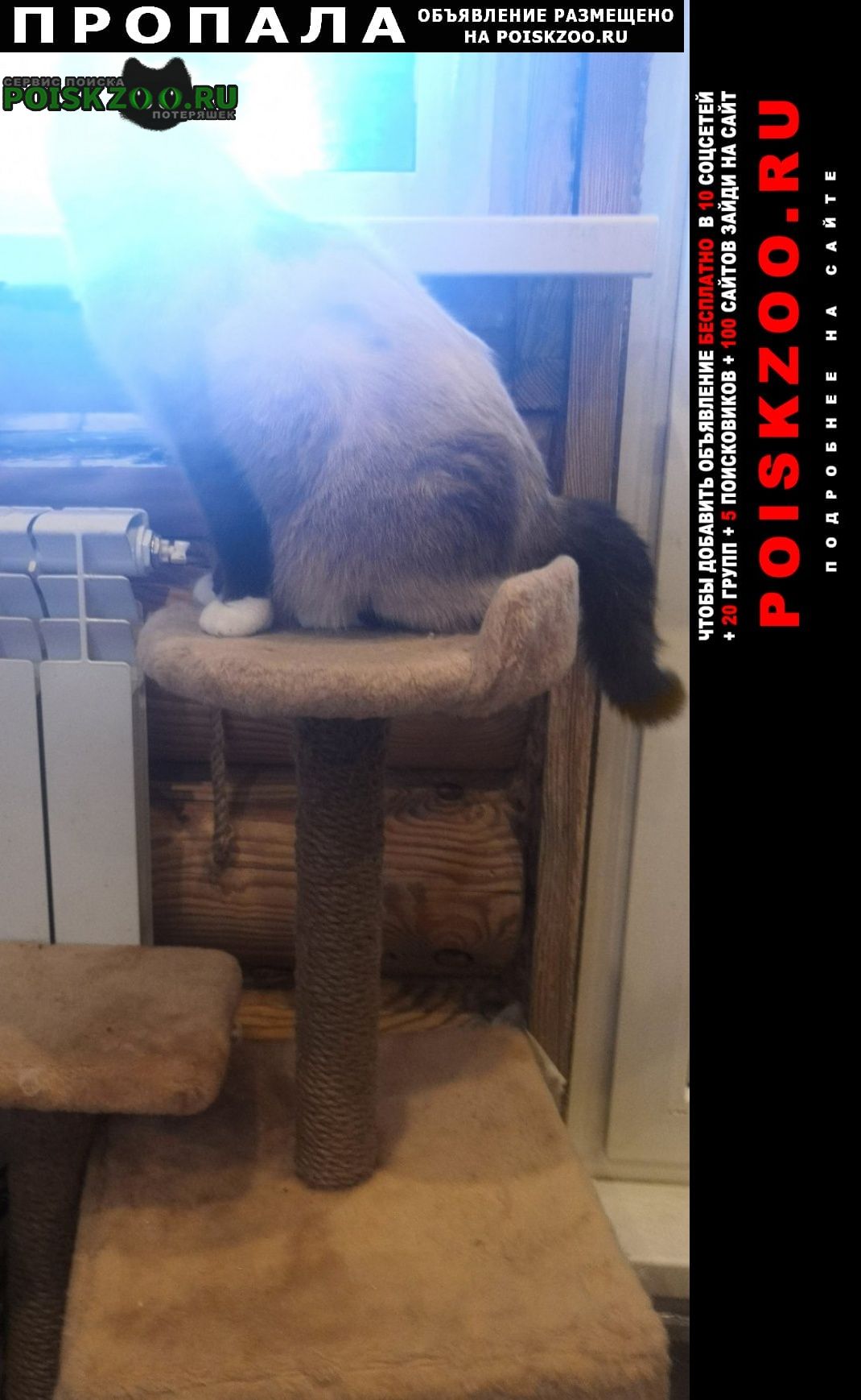 ���� ������� �����.