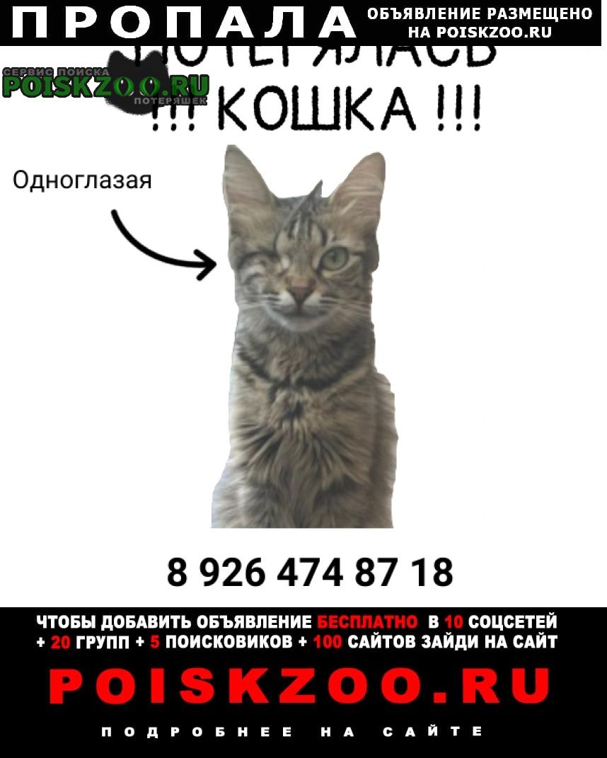 Москва Пропала кошка одноглазая полосатая