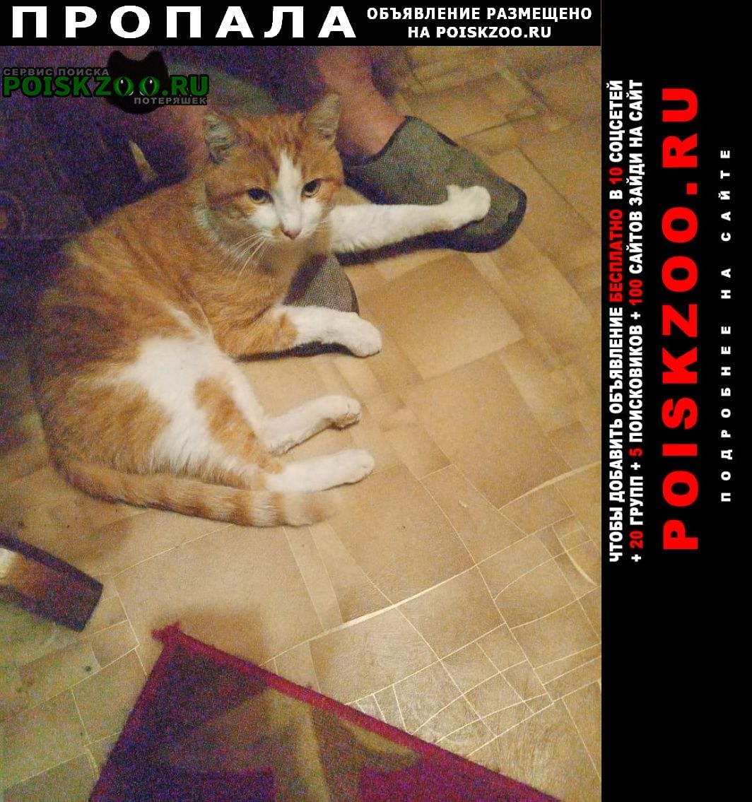 Иркутск Пропал кот