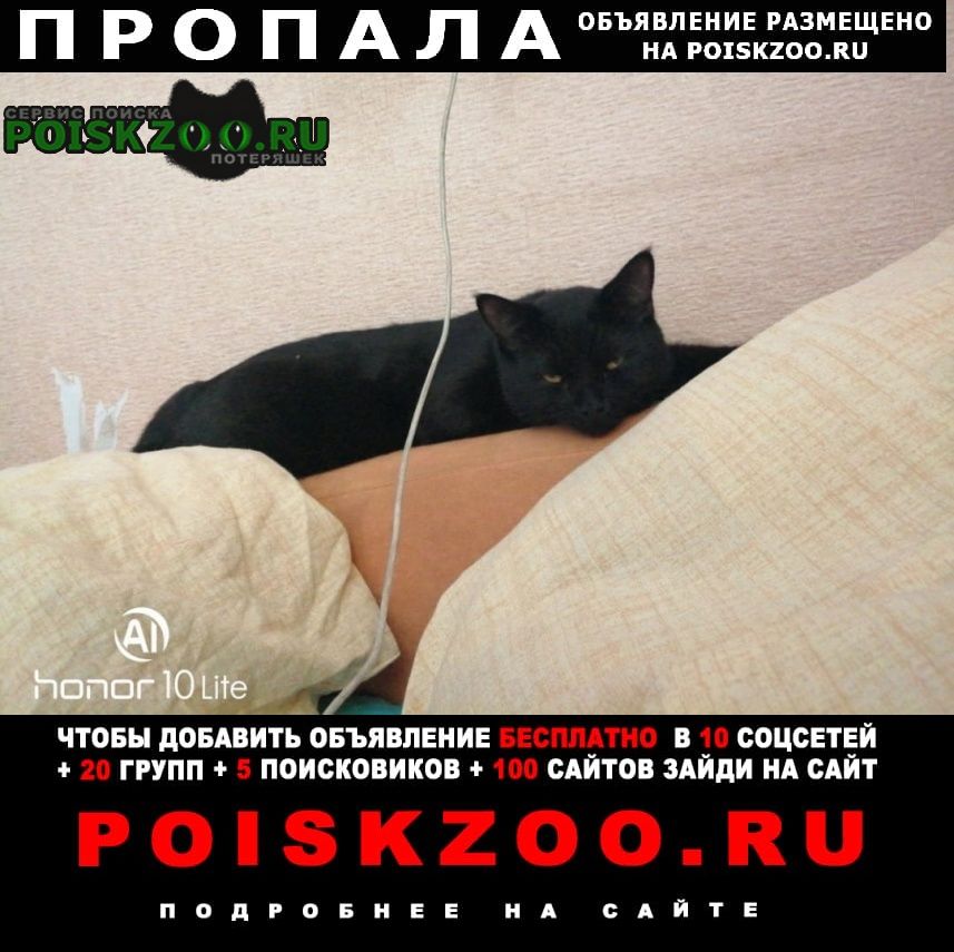 Саратов Пропал кот чёрный кот с желтыми глазами