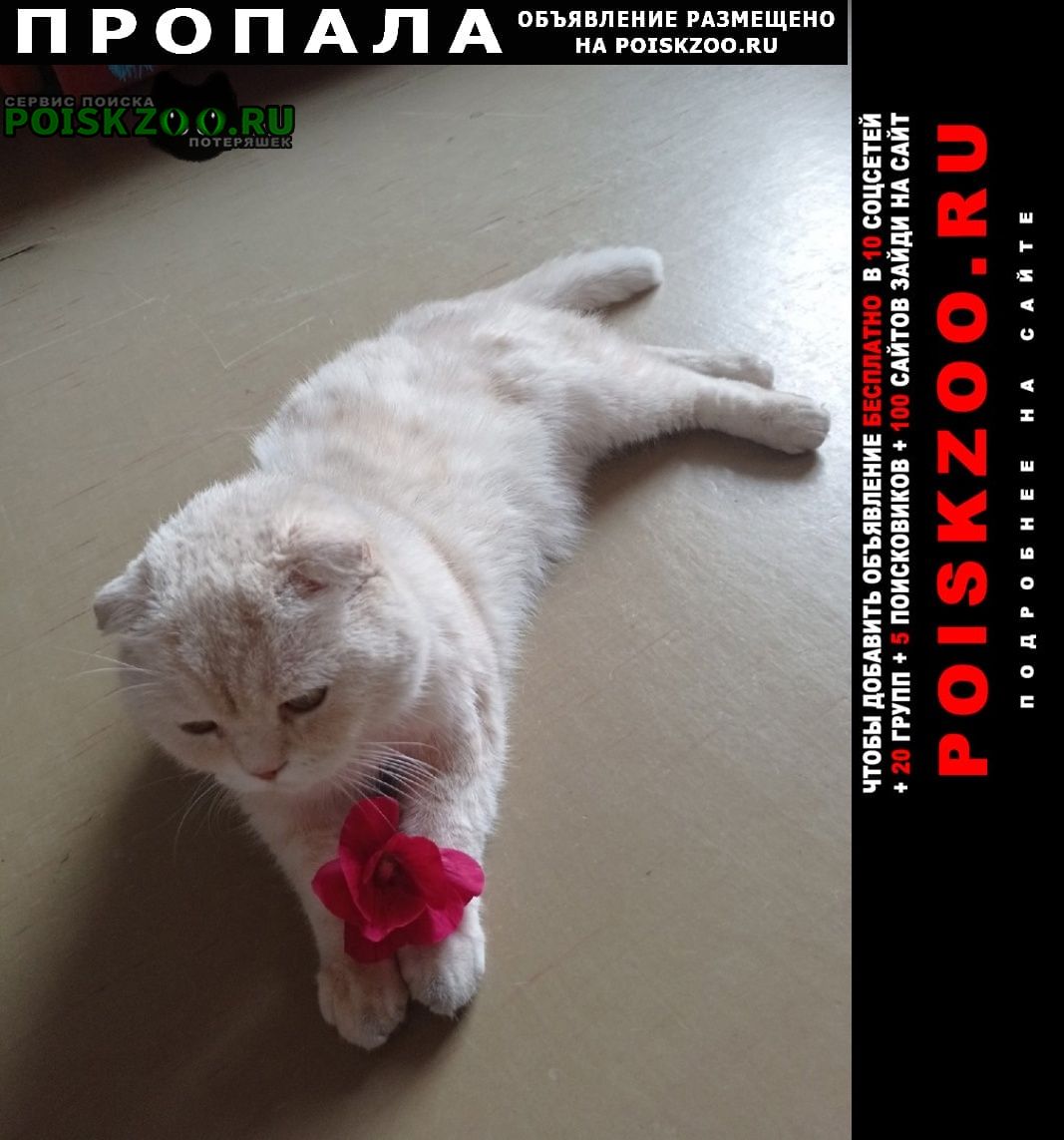 ���� ������ ��� ��������� ��������� ��������