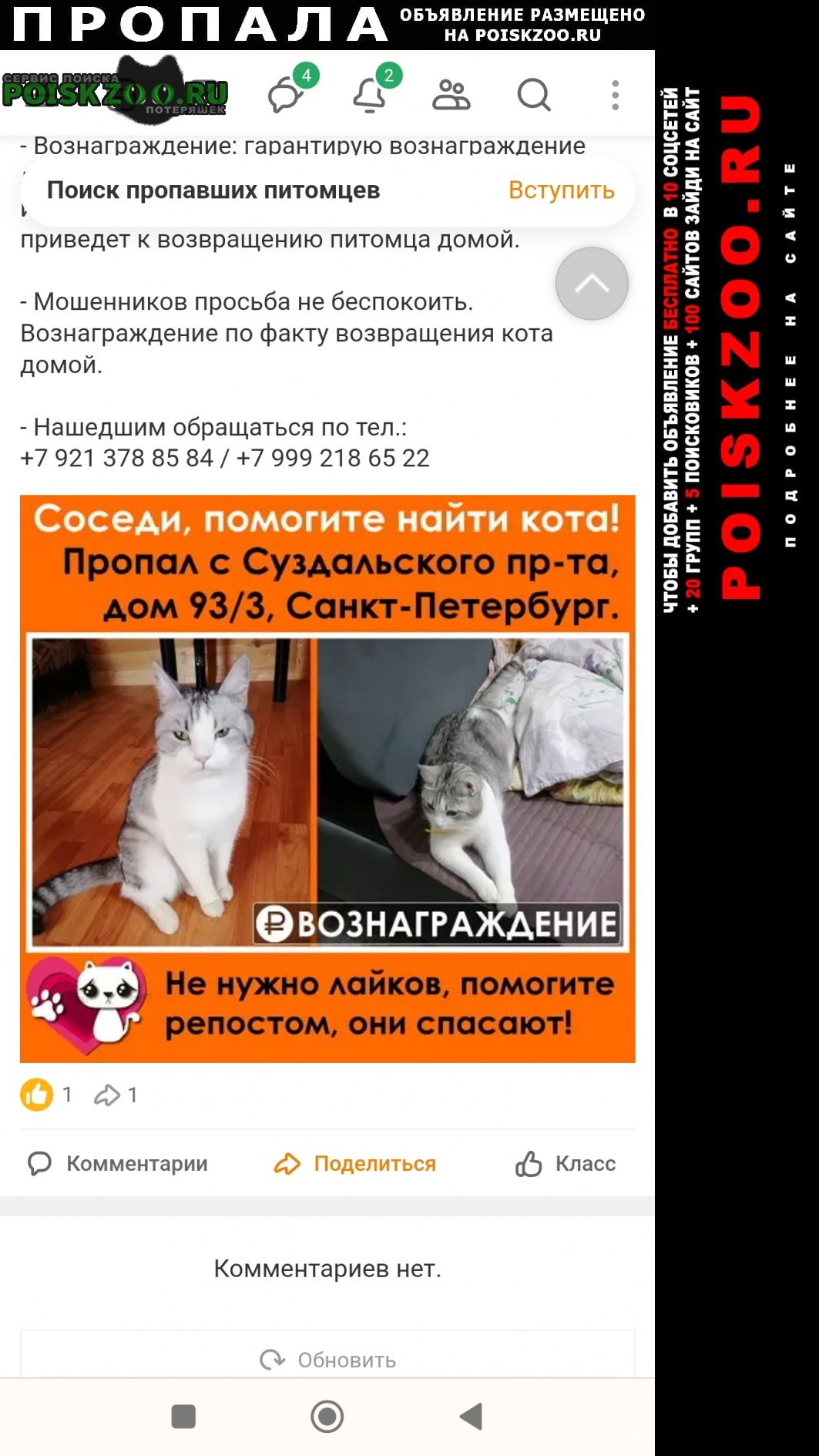 Санкт-Петербург Пропал кот бари