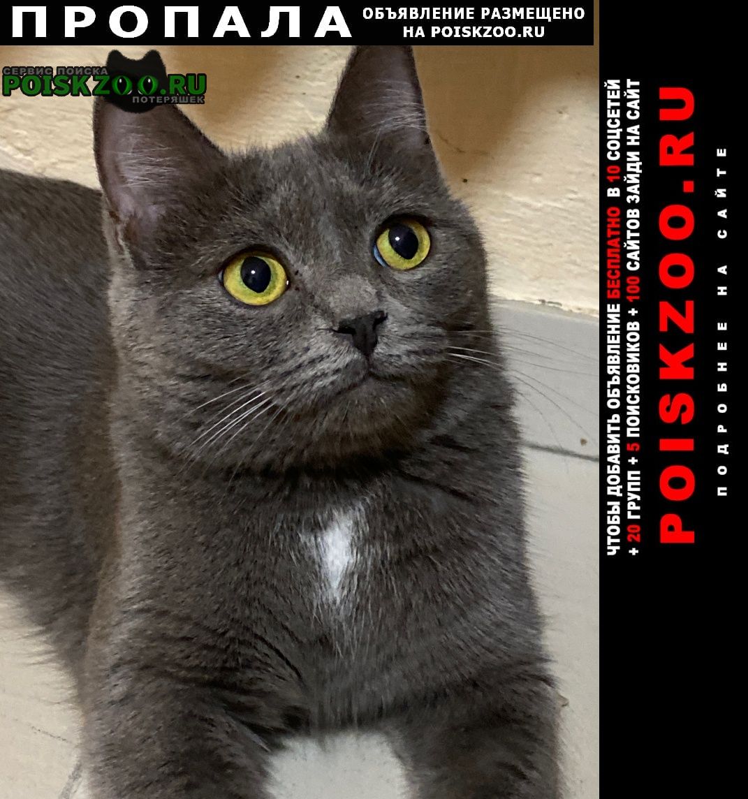 ���� ������� �����