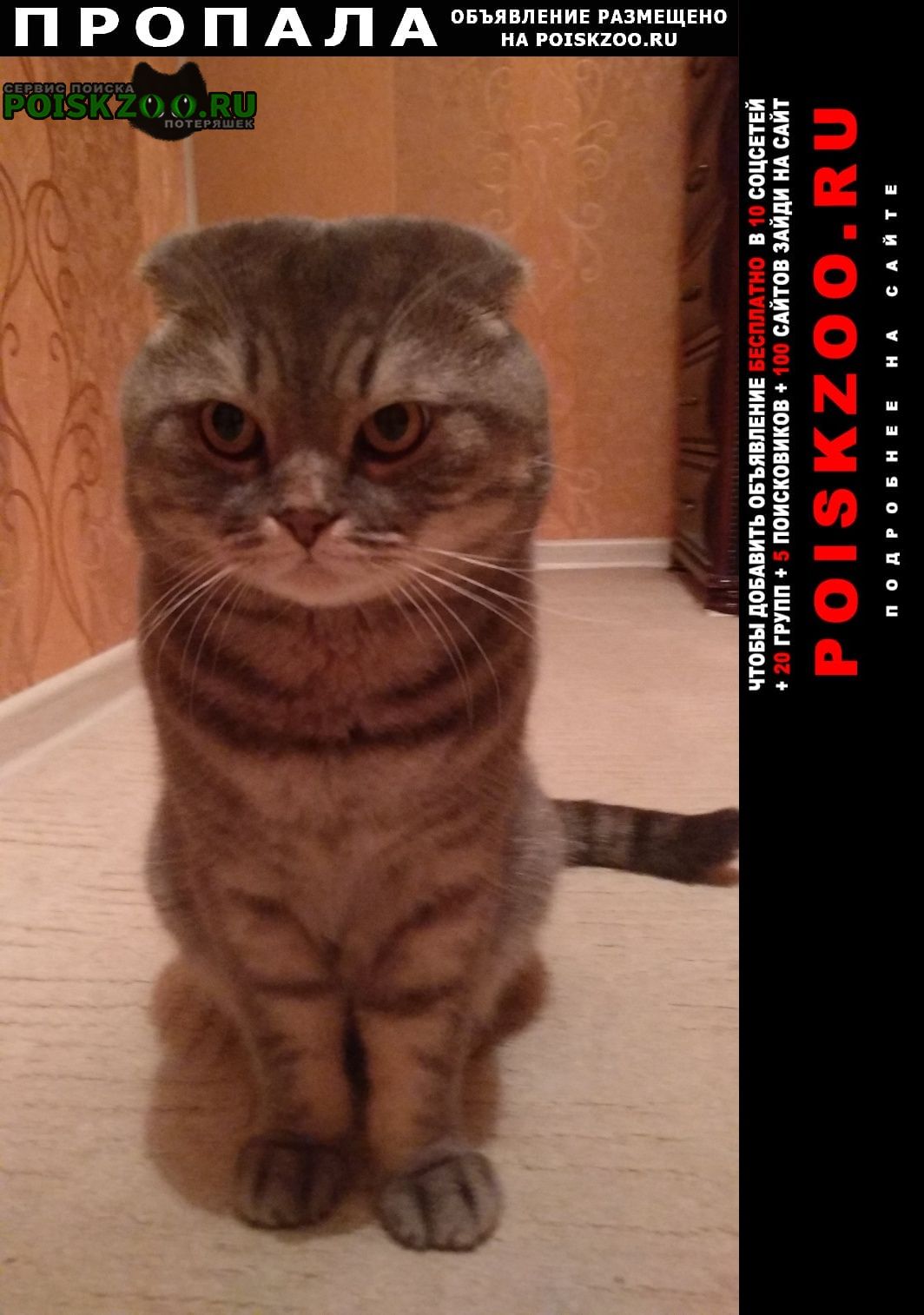 ���� ������ ��� ��������� ����������� ���.