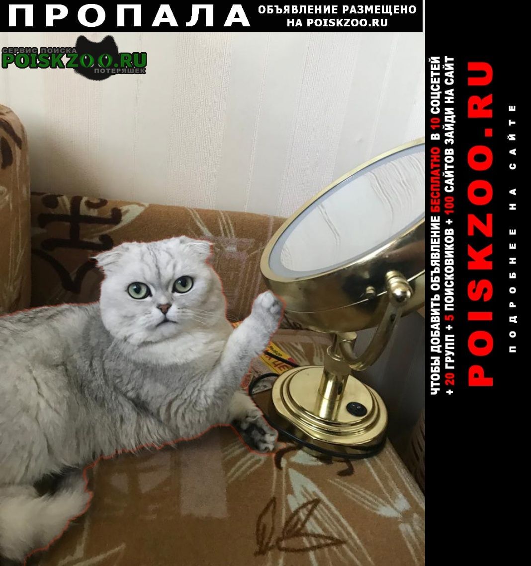 Москва Пропал кот породистый кот ул. митинская