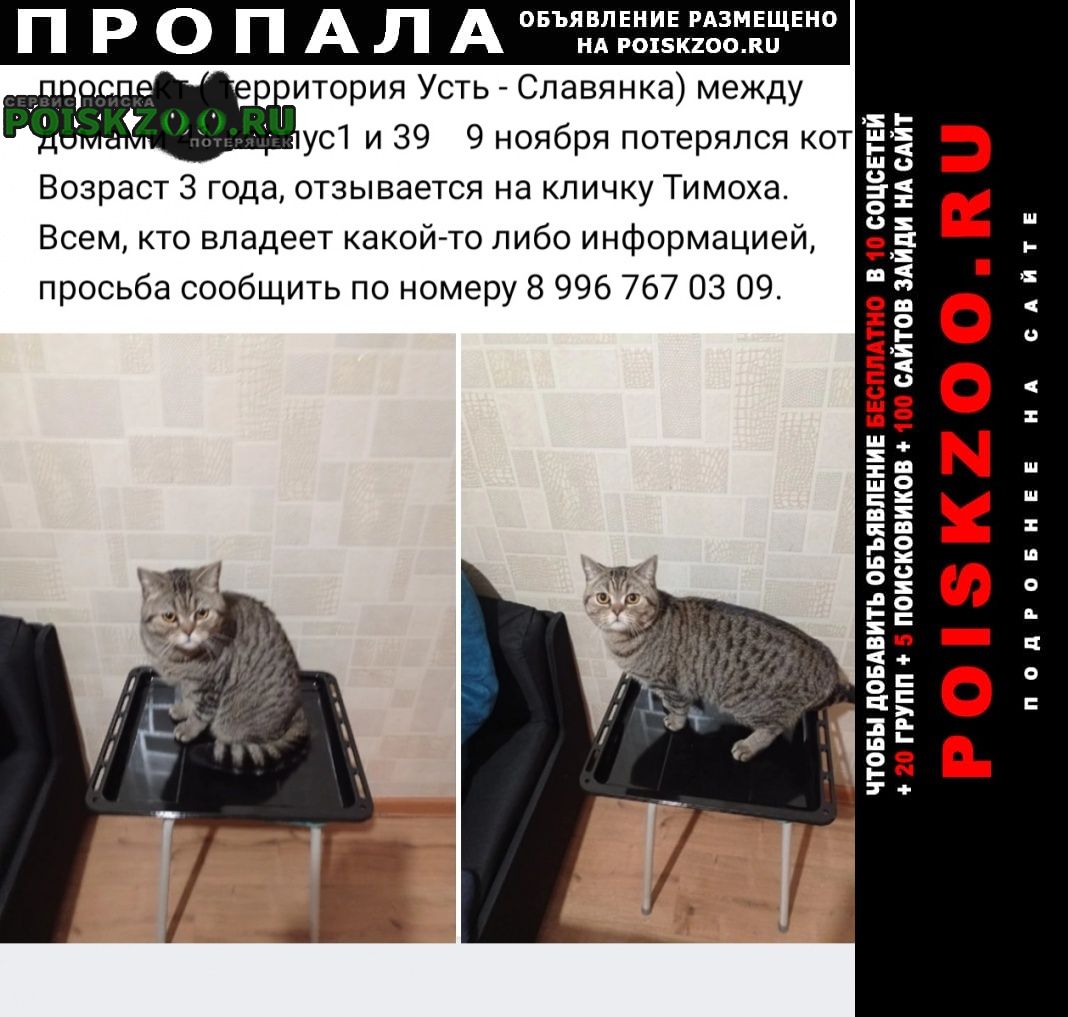 Пропал кот пожалуйста помогите найти Санкт-Петербург