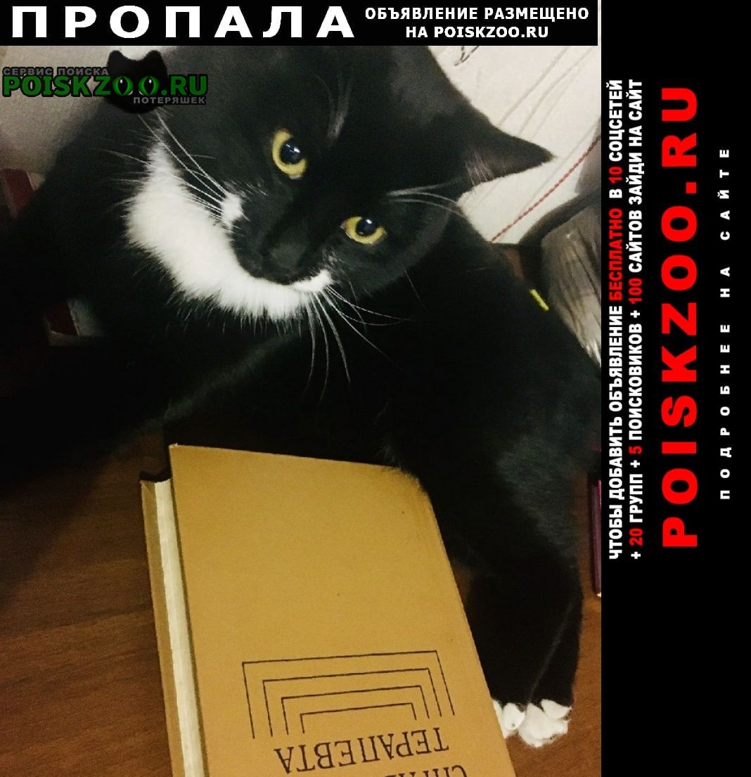 Улан-Удэ Пропал кот новая комушка черный кот.
