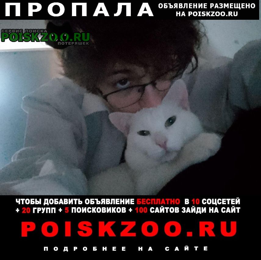Пропал кот белый кот Краснодар