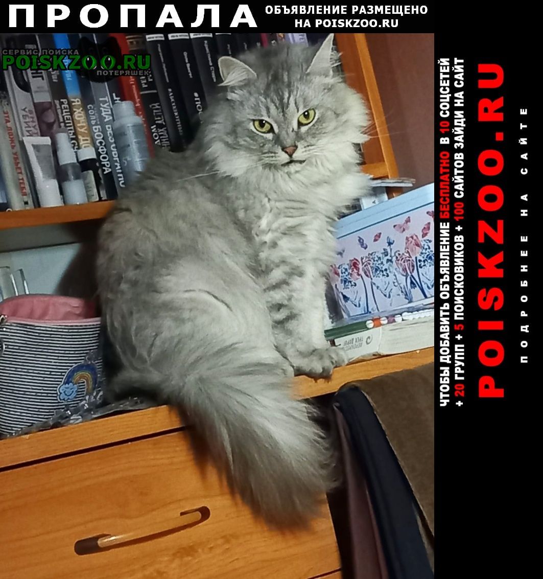 Пропала кошка Гусь Хрустальный
