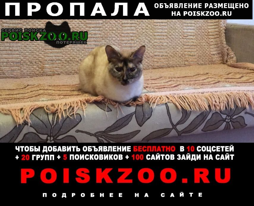 Пропала кошка Мурманск