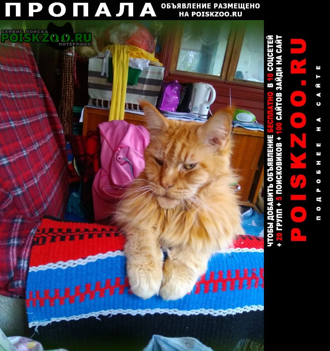 Чехов Пропала кошка кот