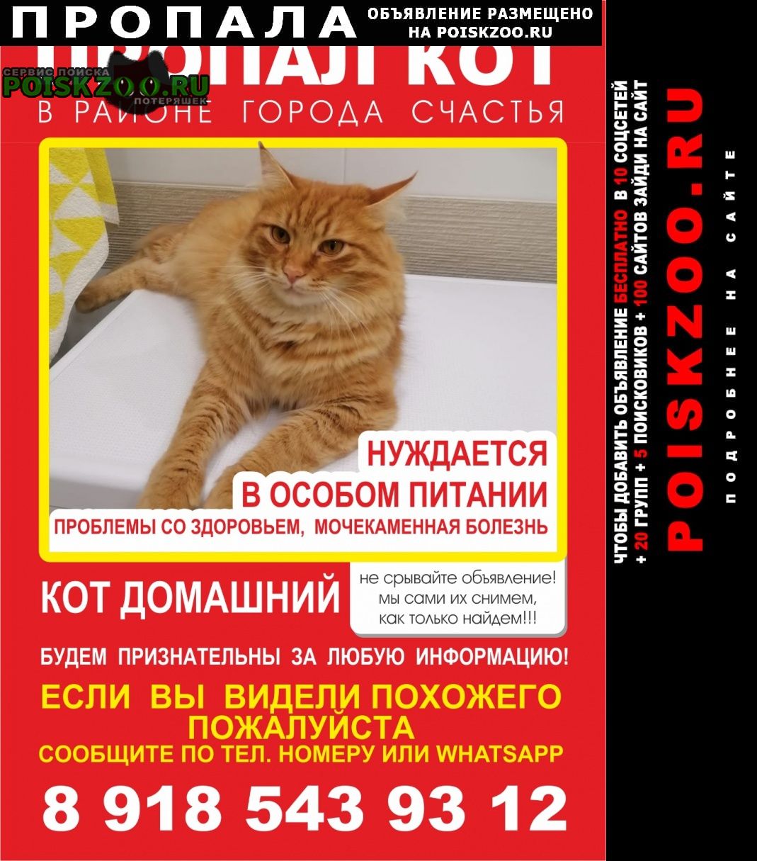 Пропала кошка Волгодонск