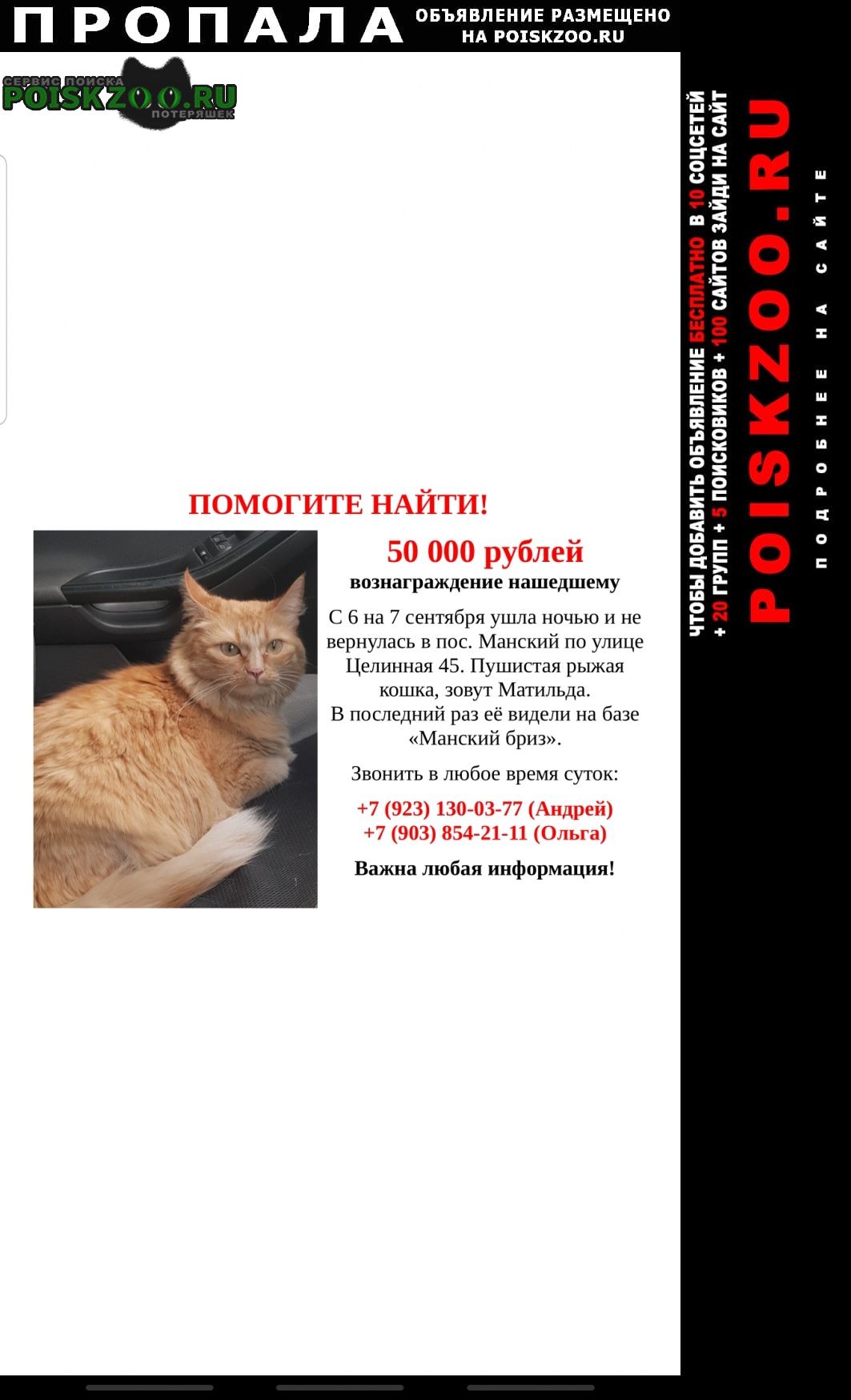 Пропала кошка в посёлке манский Красноярск