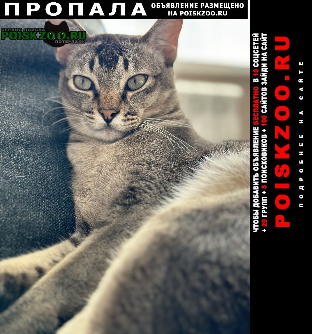 ���� ������ ��� sos