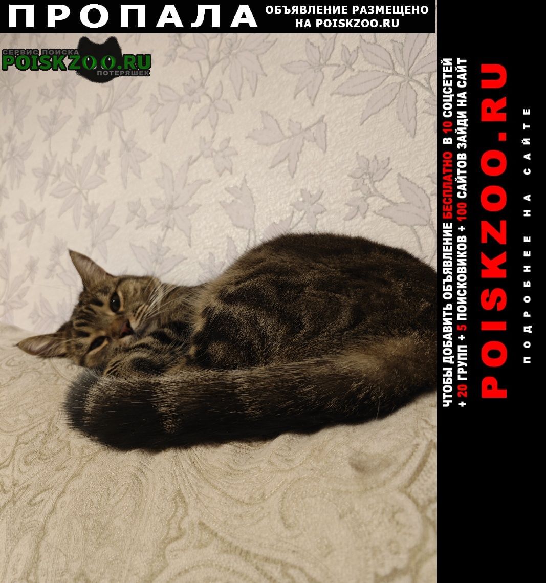 ���� ������� �����