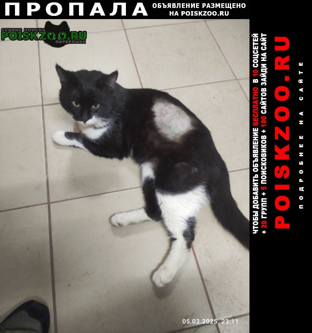 ���� ������ ��� ����� �����