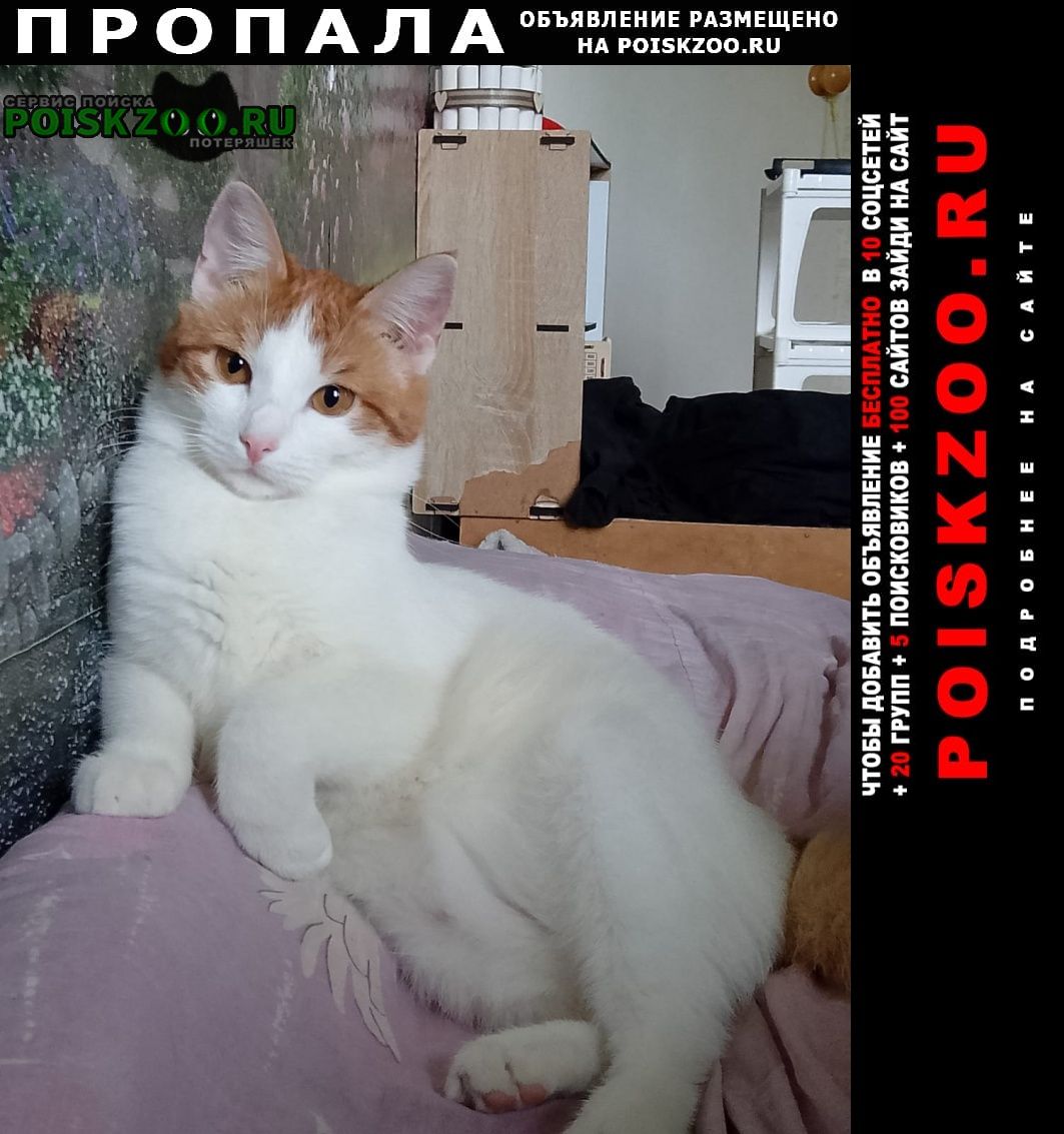 ���� ������� �����