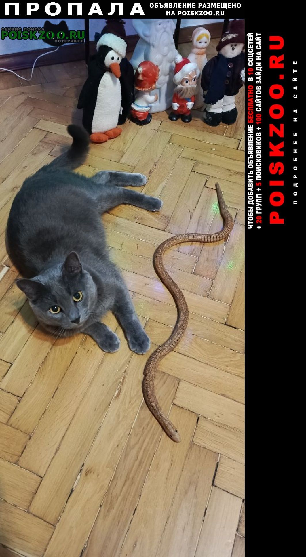 ���� ������ ���