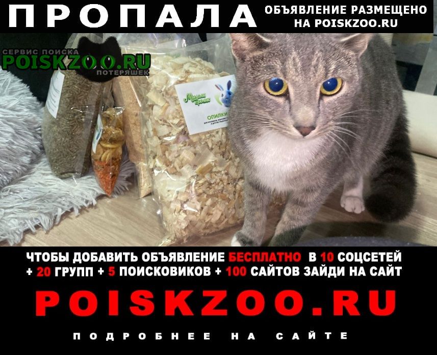 ���� ������� ����� ������� �����