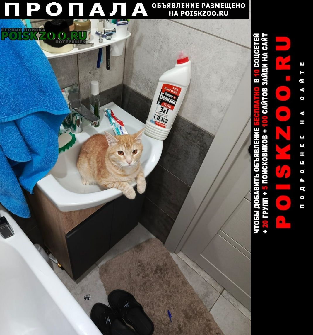 ���� ������ ���