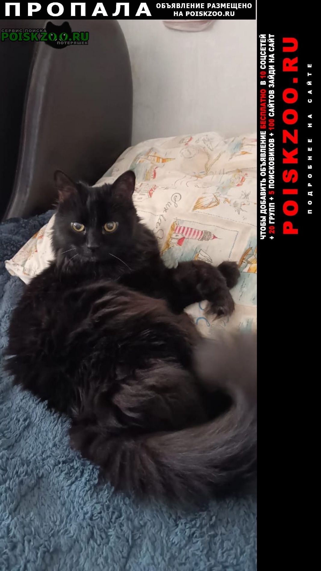 ���� ������ ���