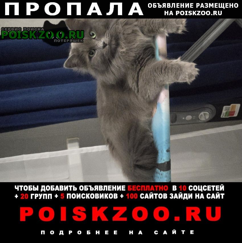 ���� ������ ���