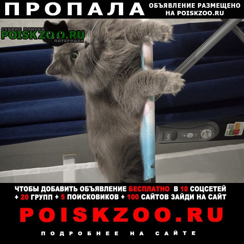 ���� ������ ���