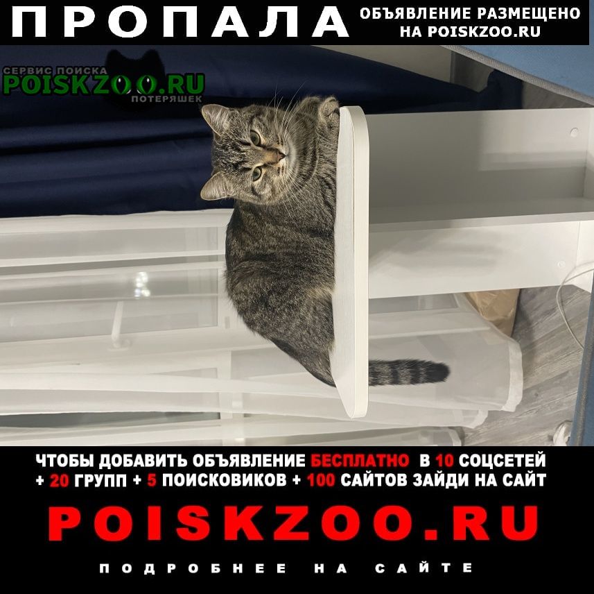 ���� ������ ���