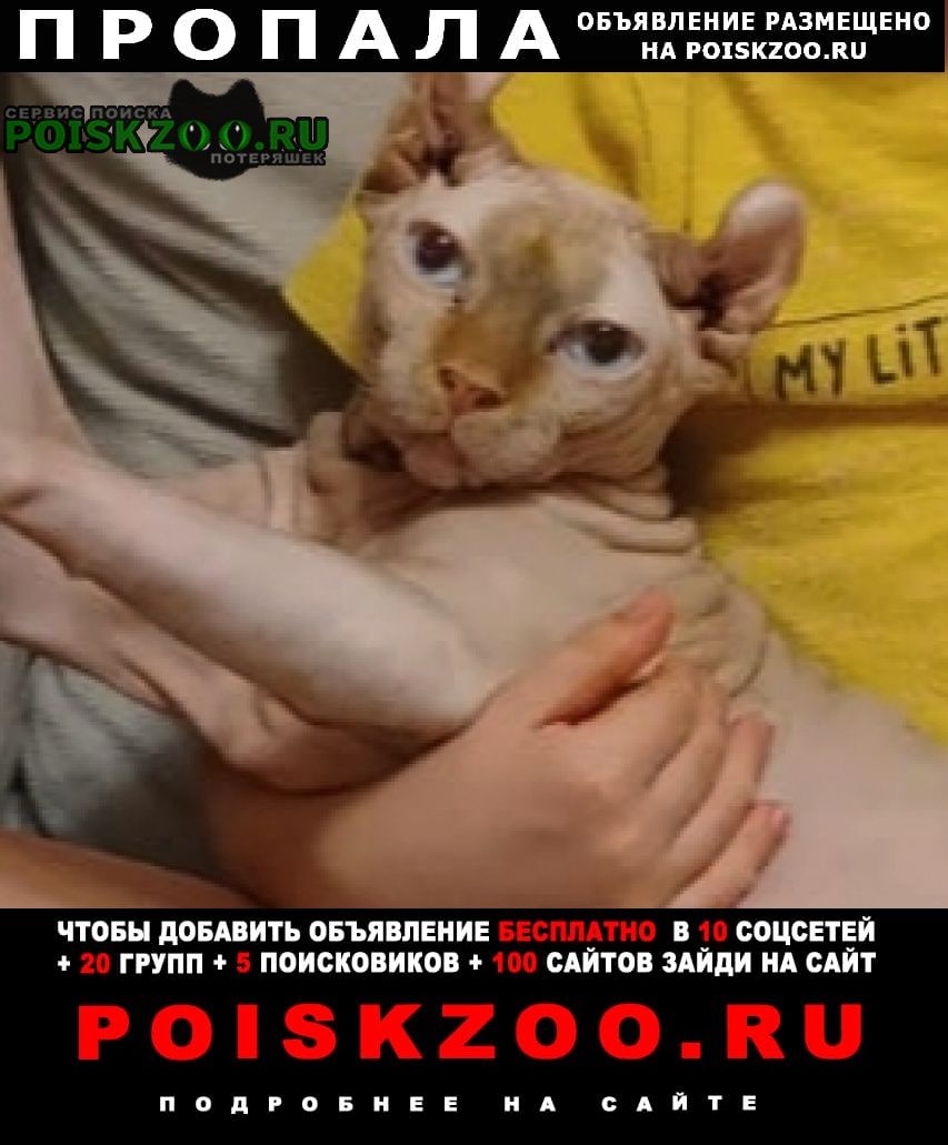 ���� ������ ��� �������� �����