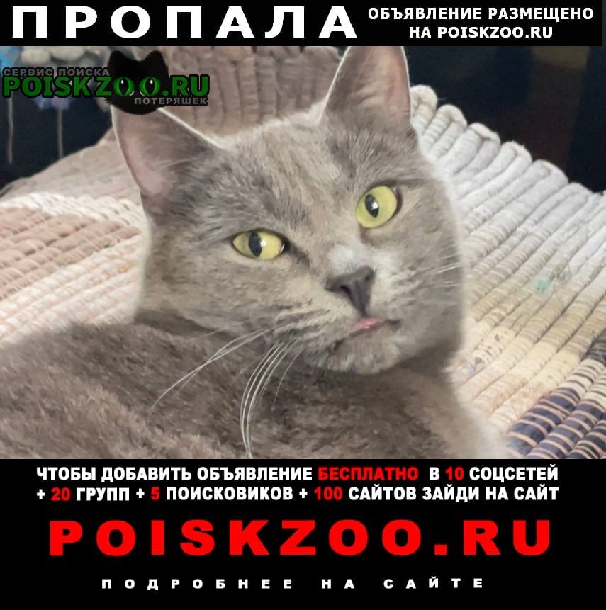     (   ) 