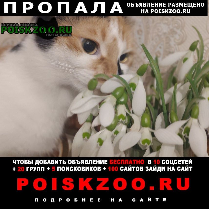   26  - - 