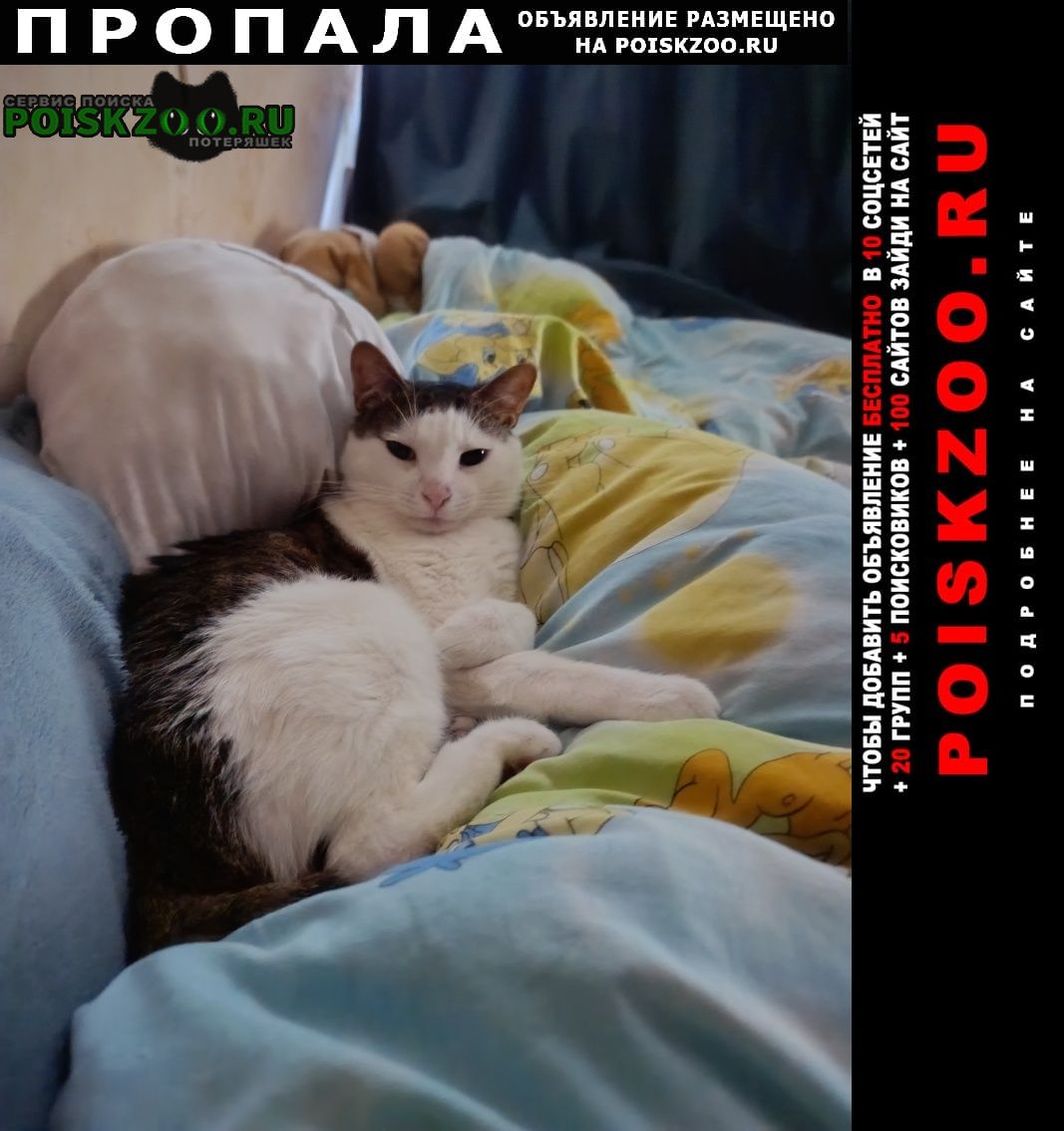  ,  -