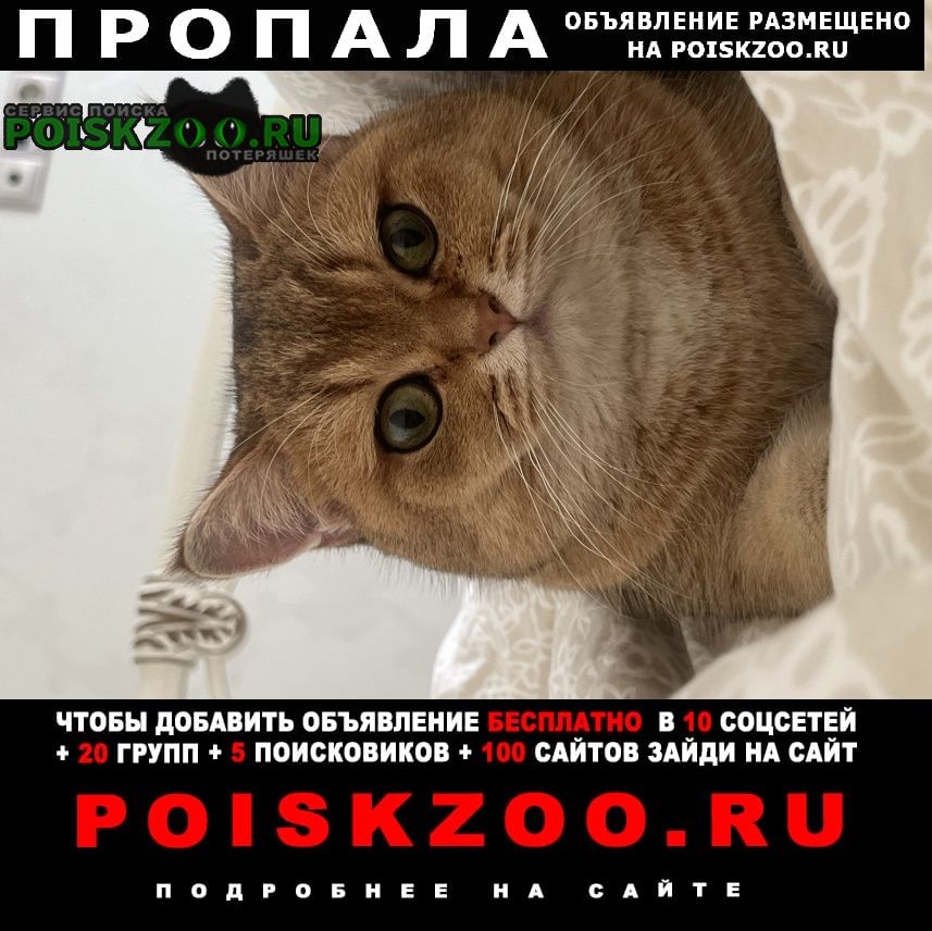    ,    5