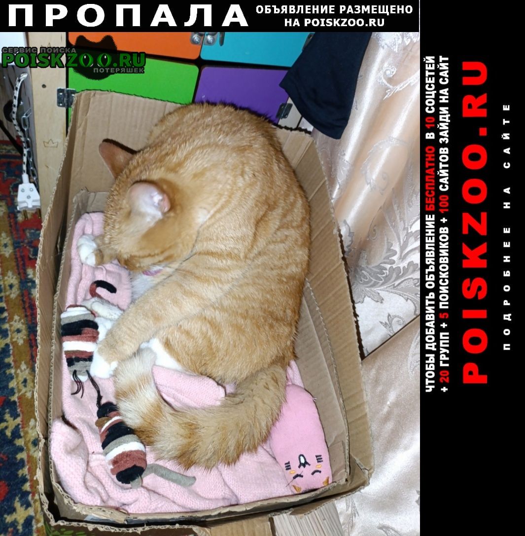 ���� ������ ���