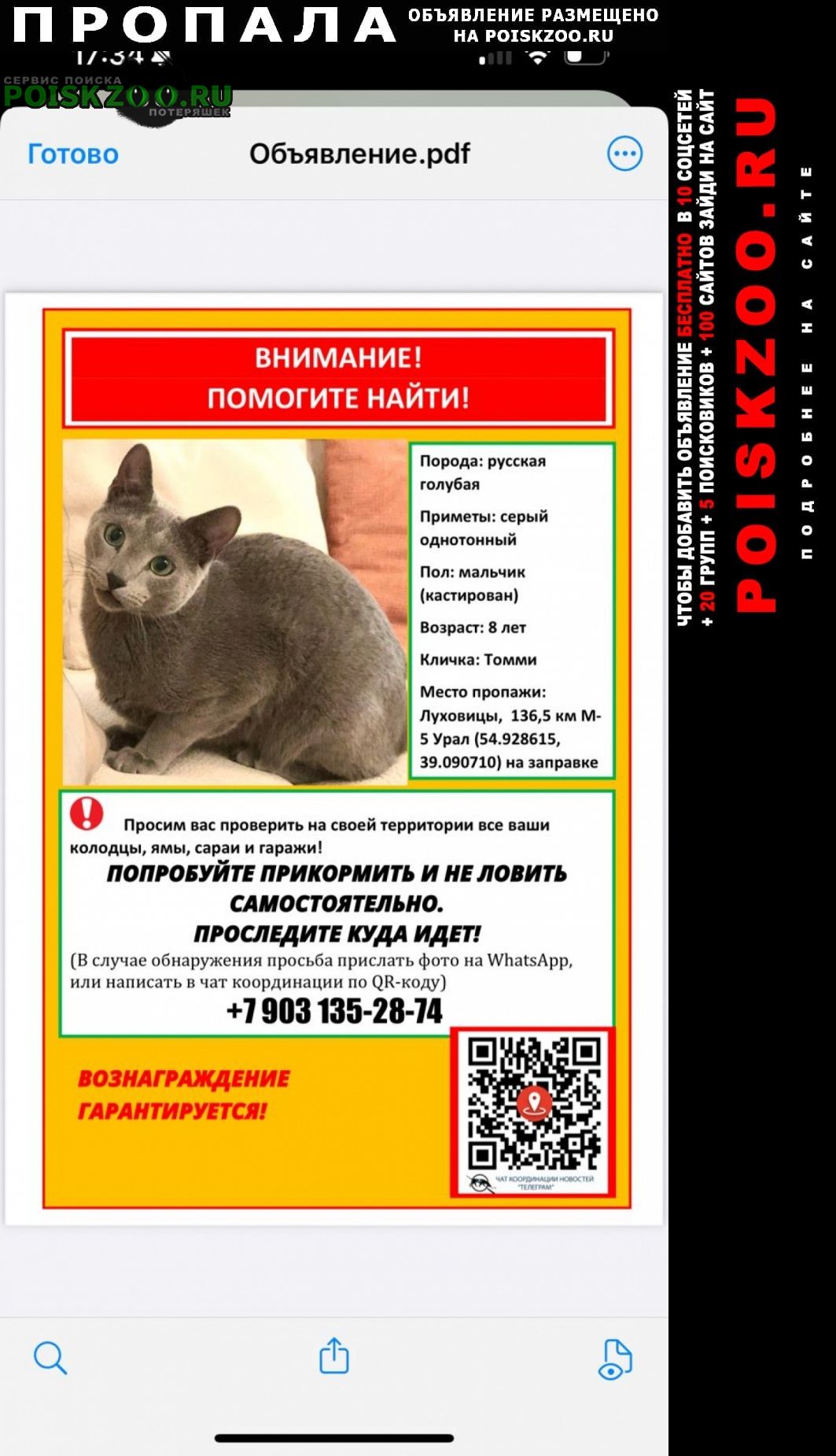 ���� ������ ���