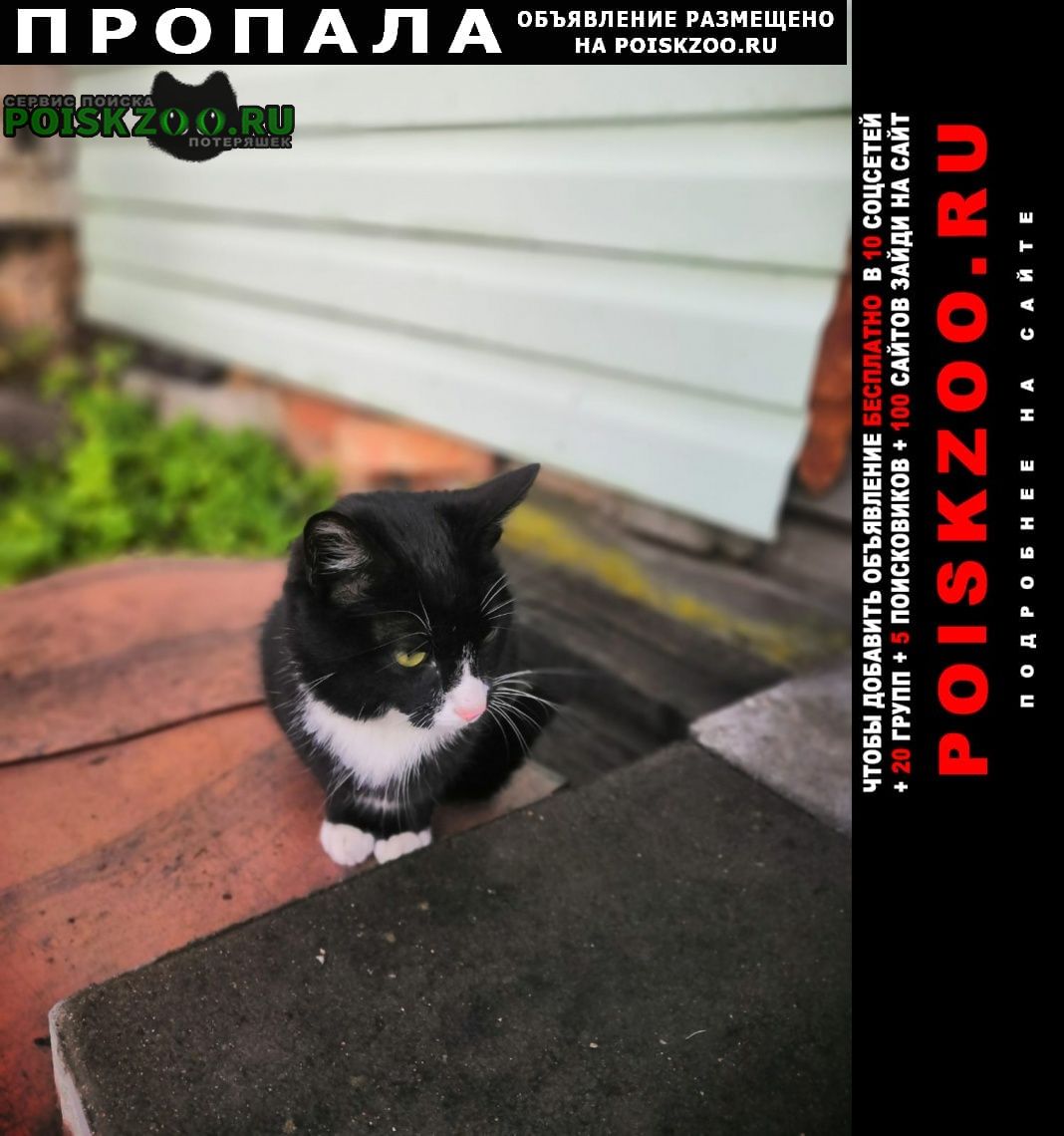 ���� ������� �����