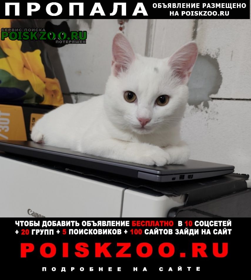 ���� ������ ��� ����� ���, �. ���������