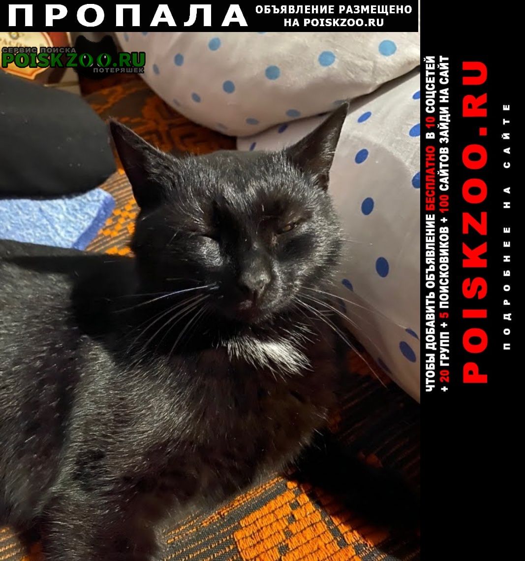 ���� ������� �����