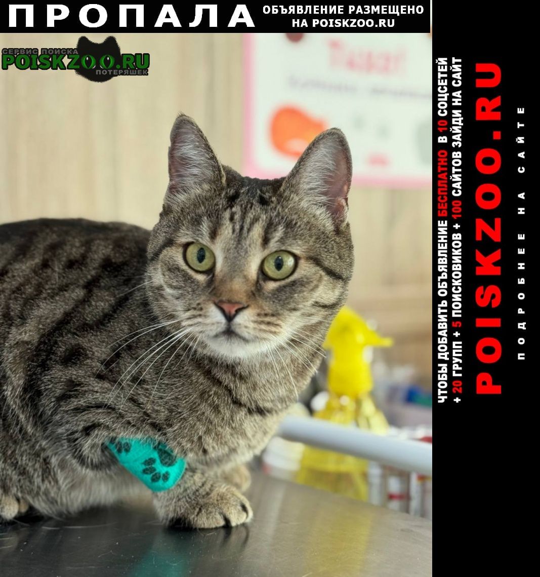 ���� ������� �����