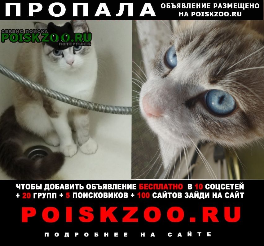 ���� ������ ���