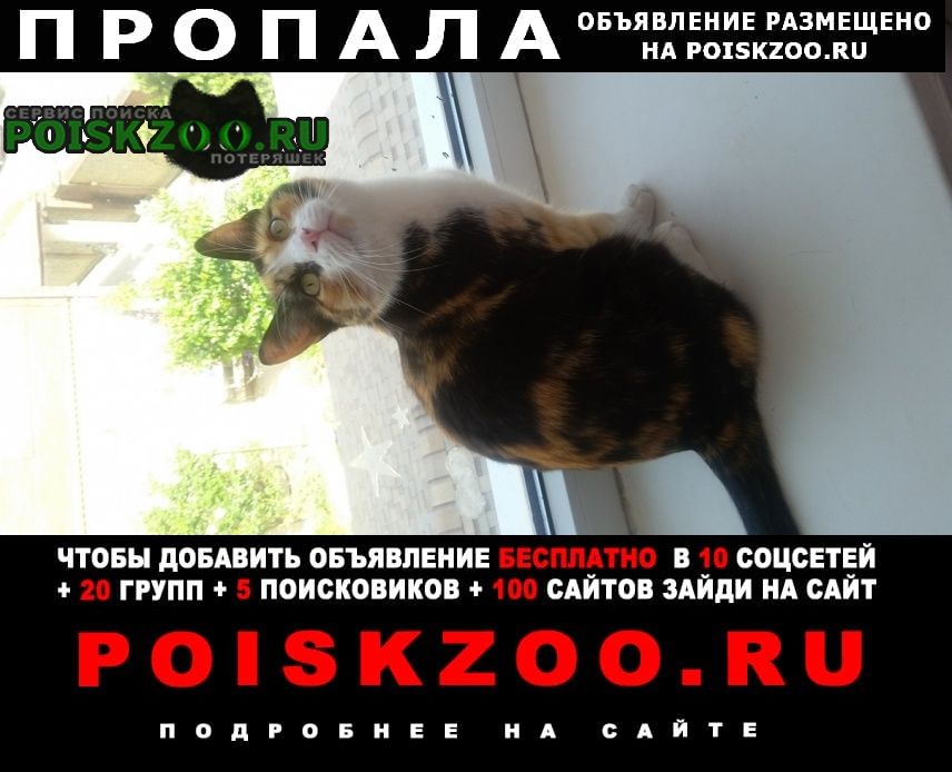 ���� ������� ����� ����������.